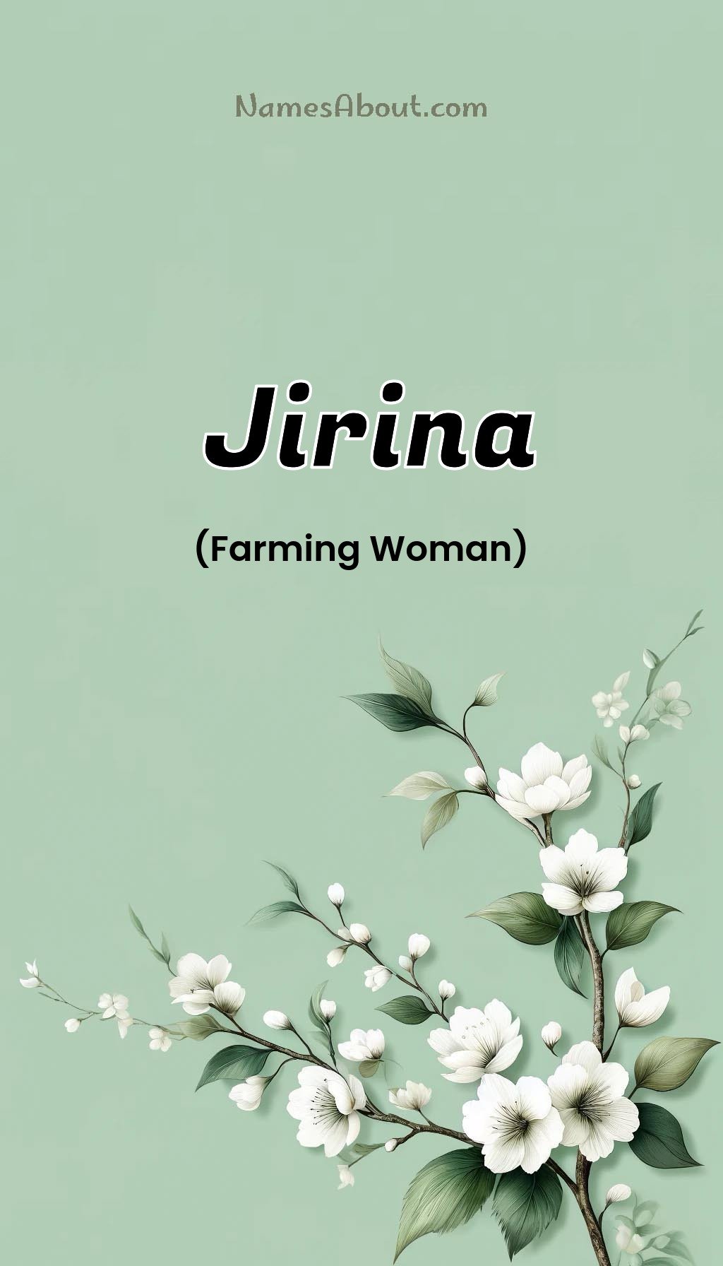 Jirina name and meaning