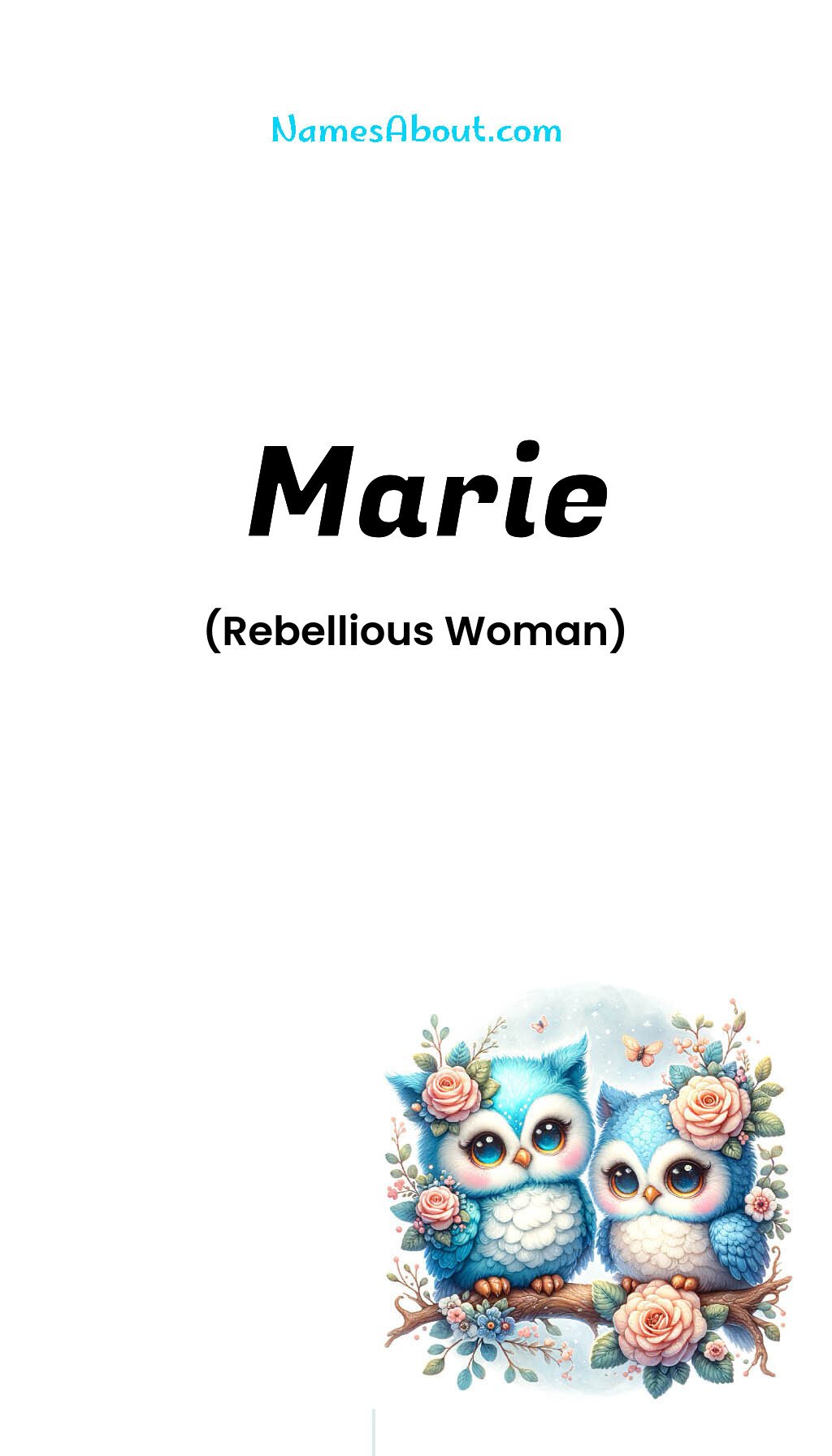 Marie name and meaning