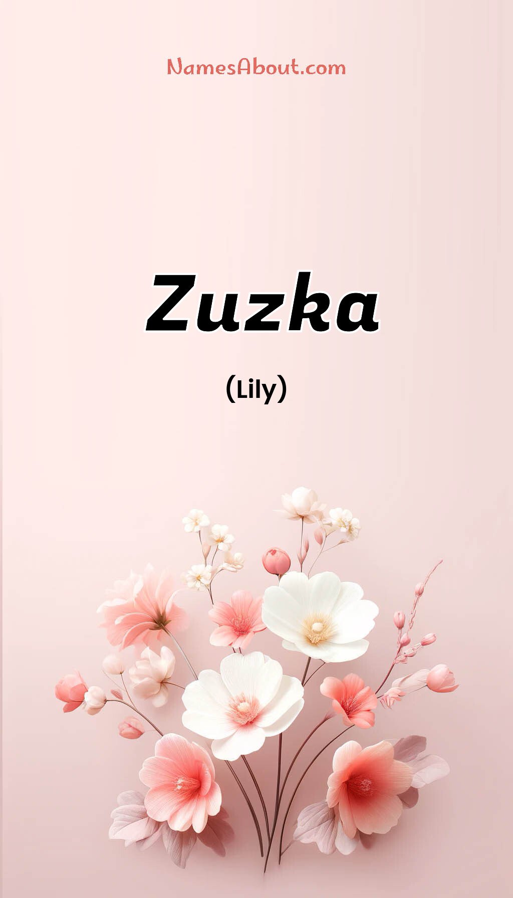 Zuzka name and meaning