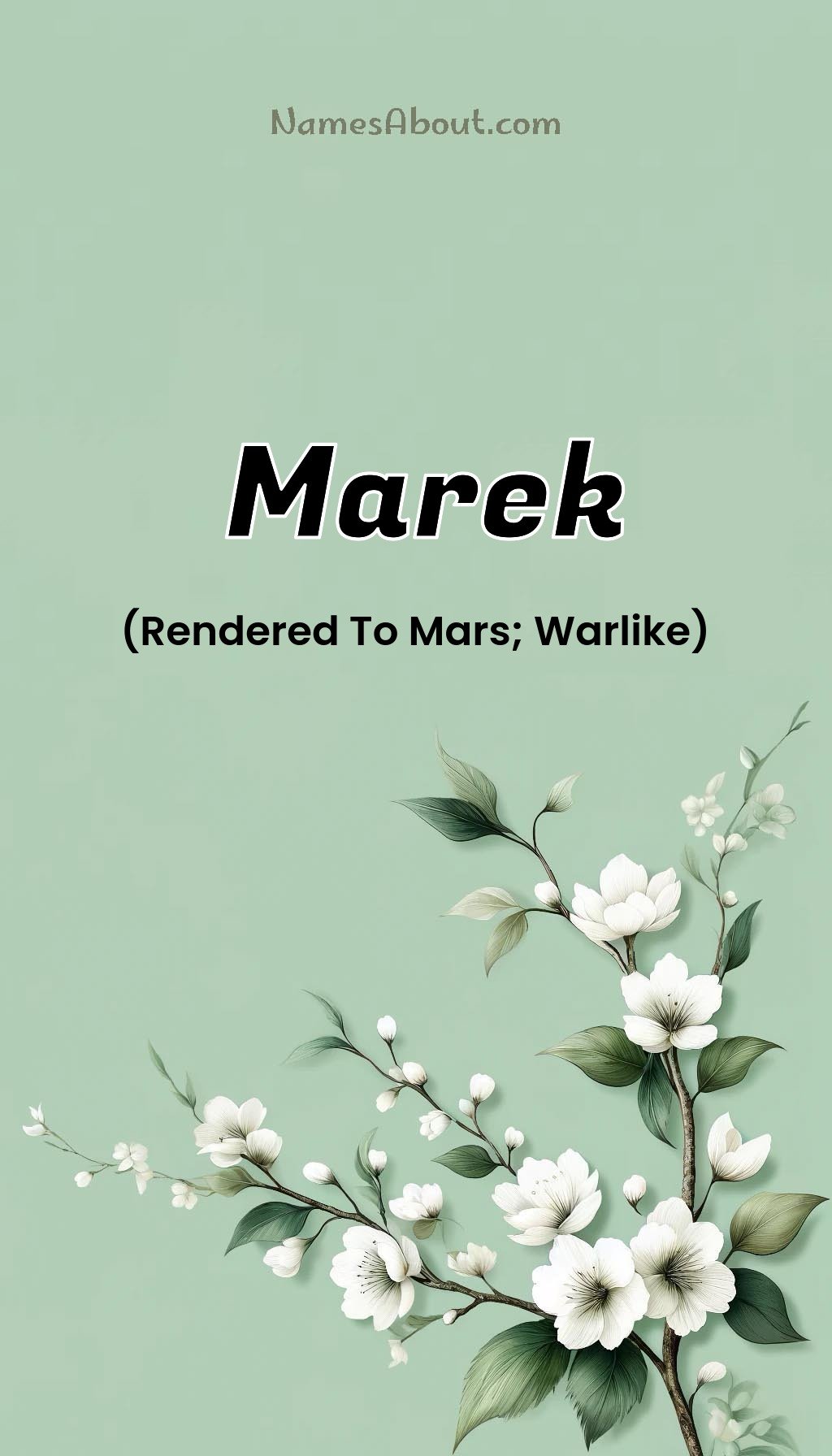 Marek name and meaning