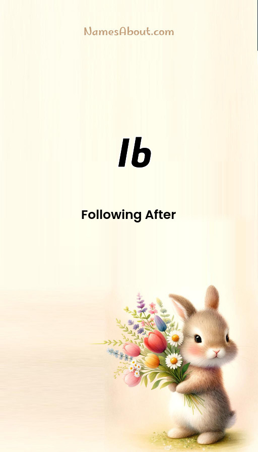 Meaning of Ib
