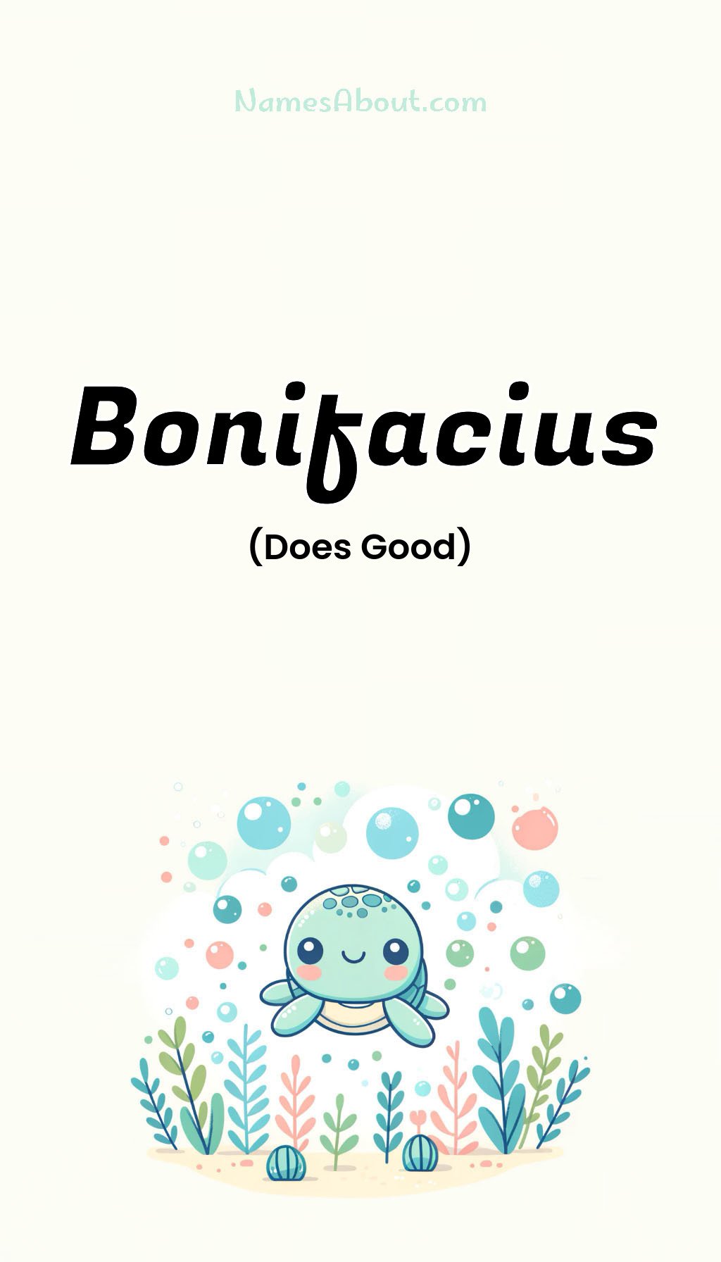 Bonifacius name and meaning