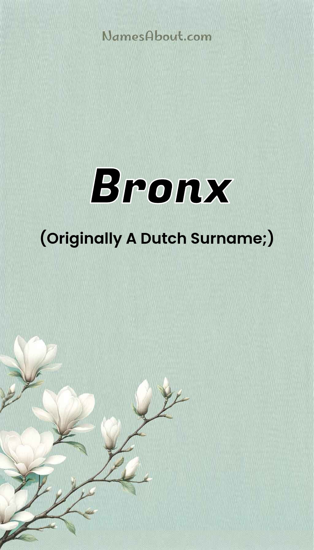 Bronx name and meaning