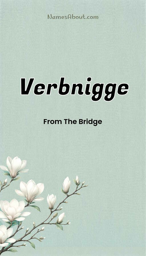 Meaning of Verbnigge
