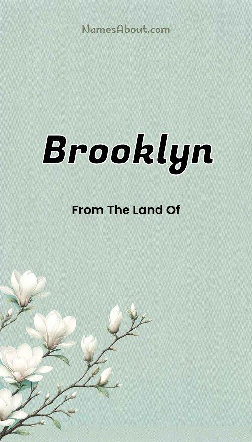 Brooklyn name and meaning