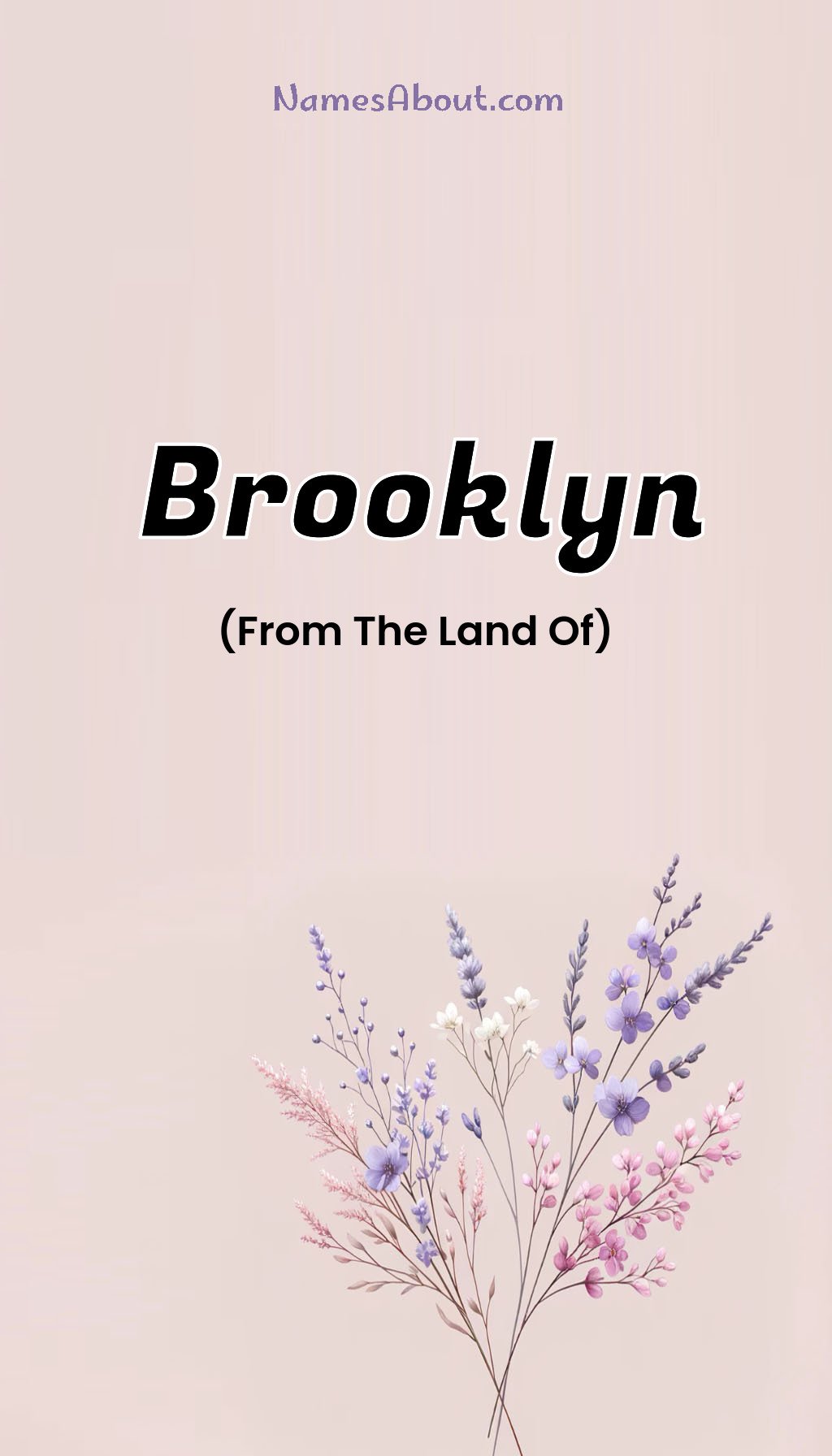 Brooklyn name and meaning