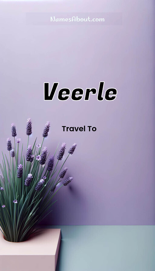 Meaning of Veerle