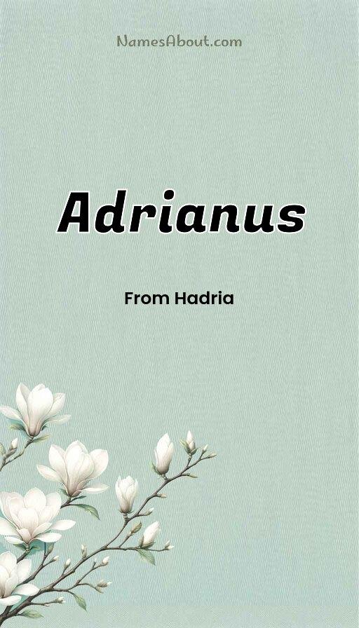 Meaning of Adrianus