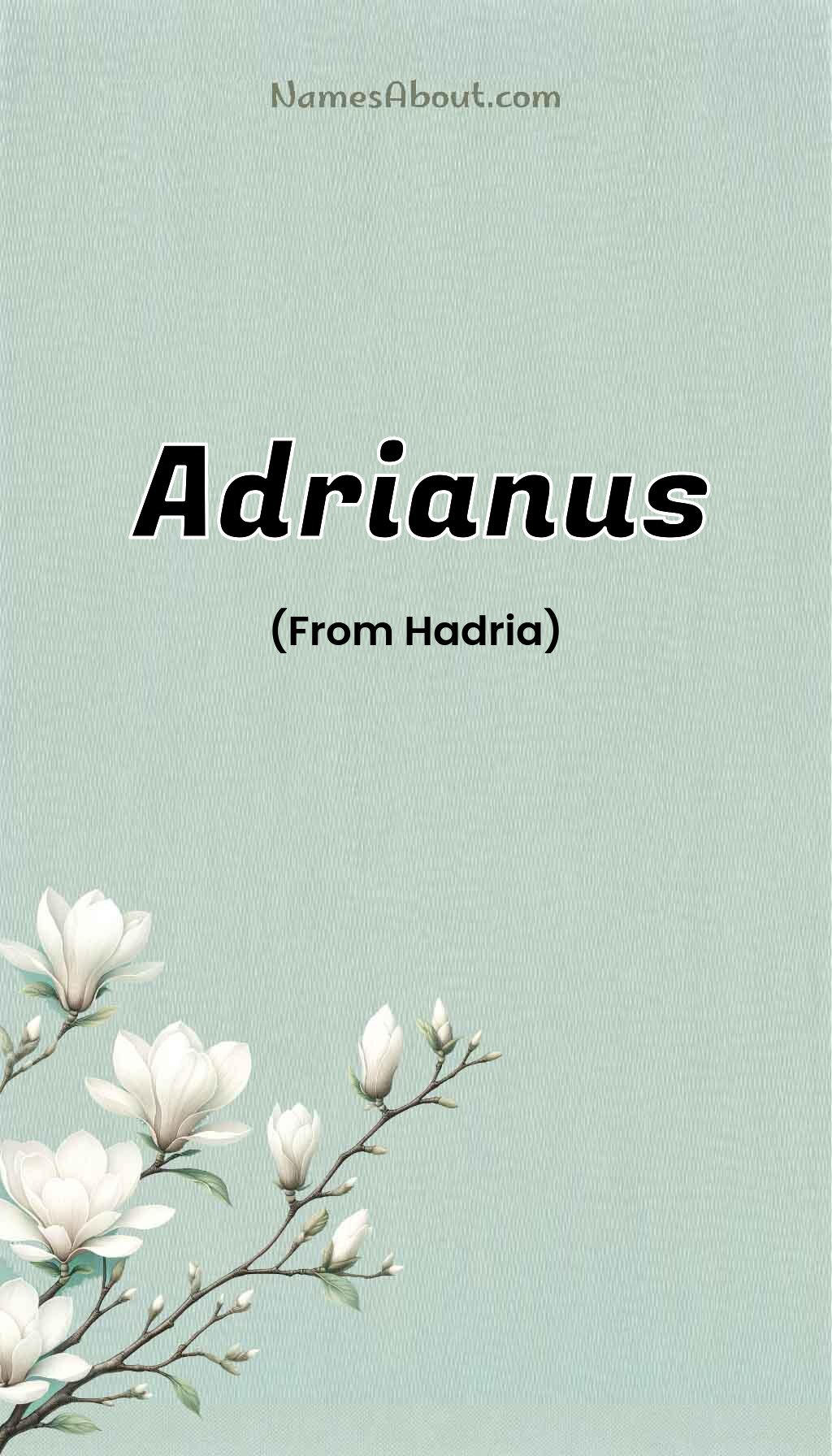 Adrianus name and meaning