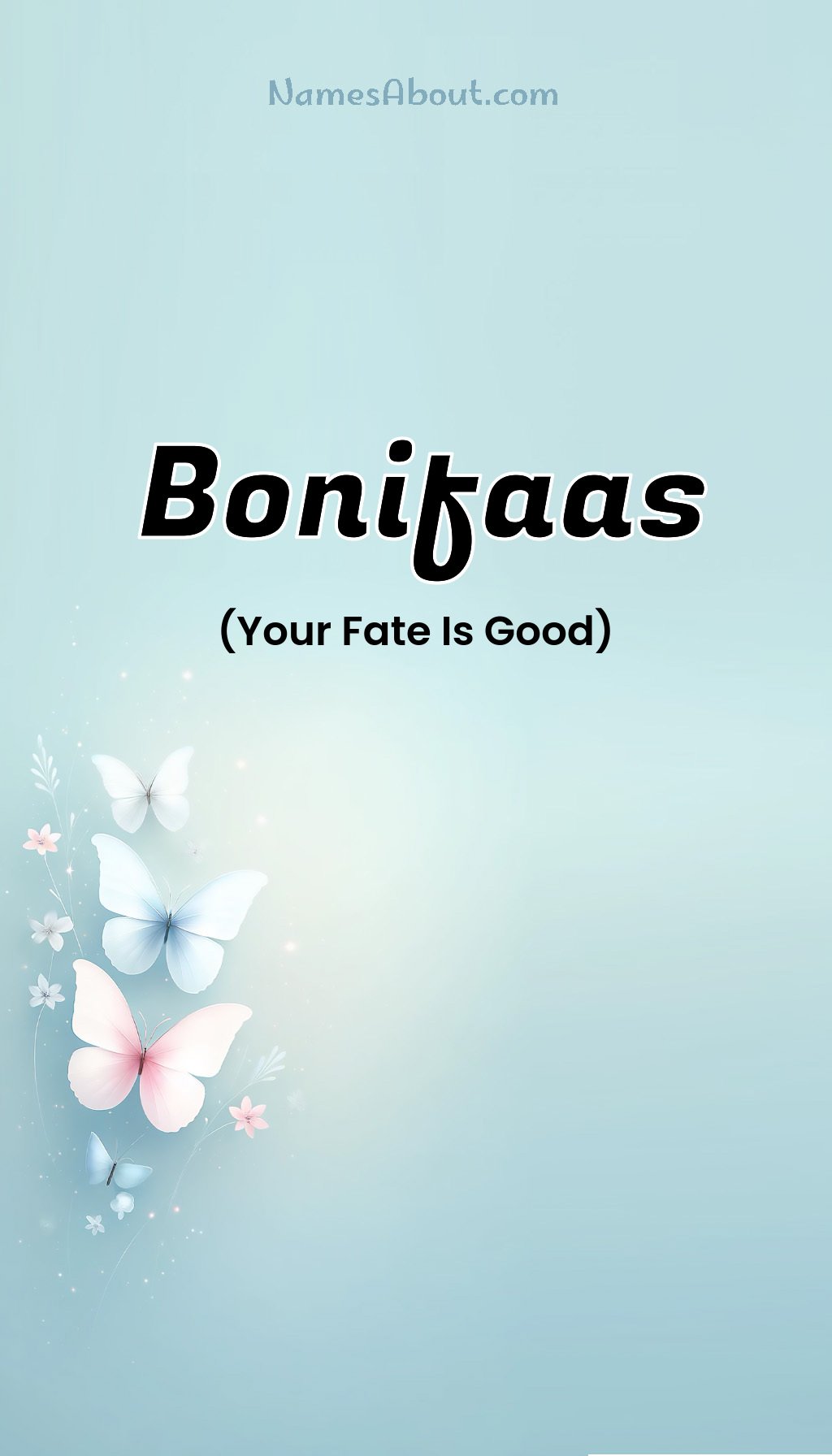 Bonifaas name and meaning