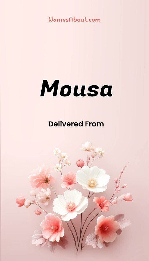 Meaning of Mousa