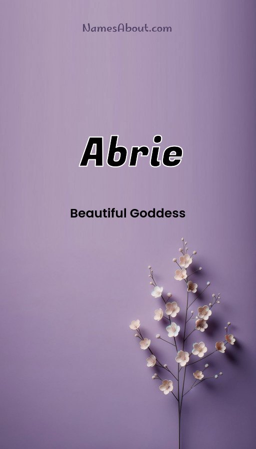 Meaning of Abrie