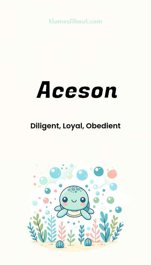 Meaning of Aceson