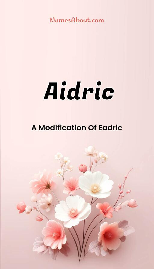 Meaning of Aidric