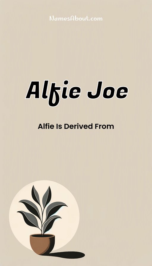 Meaning of Alfie joe