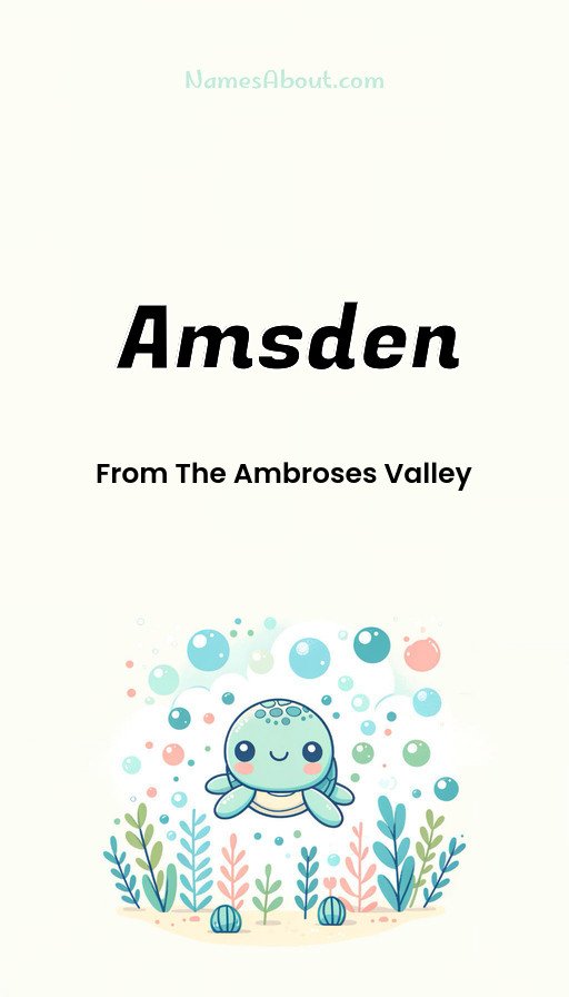 Meaning of Amsden