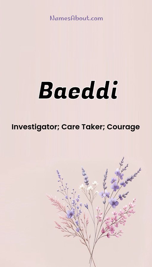 Meaning of Baeddi
