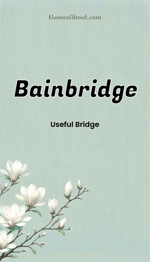 Meaning of Bainbridge