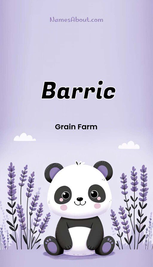 Meaning of Barric