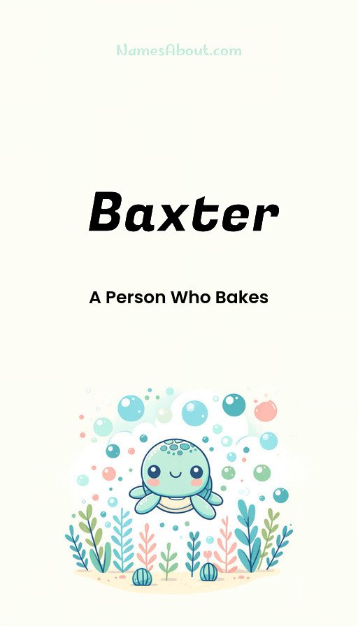Meaning of Baxter