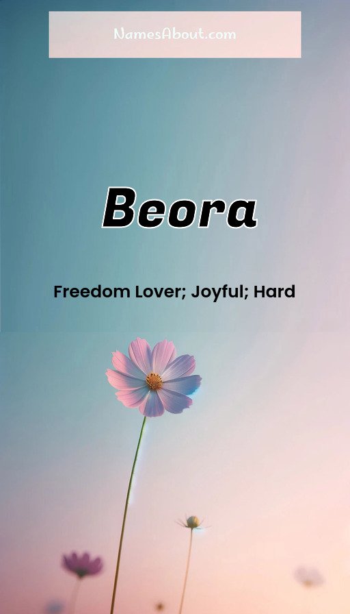 Meaning of Beora