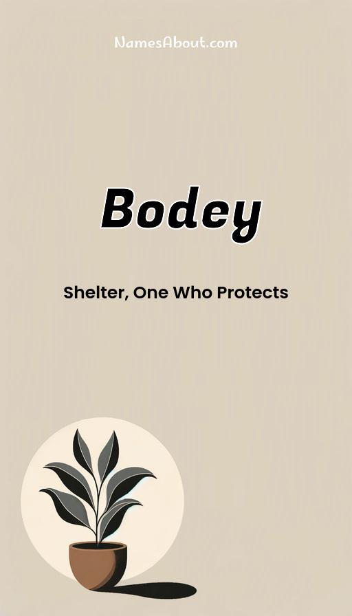 Illustration of Bodey