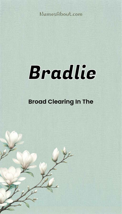 Meaning of Bradlie