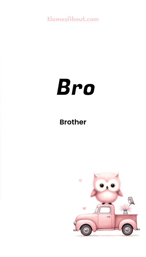 Meaning of Bro