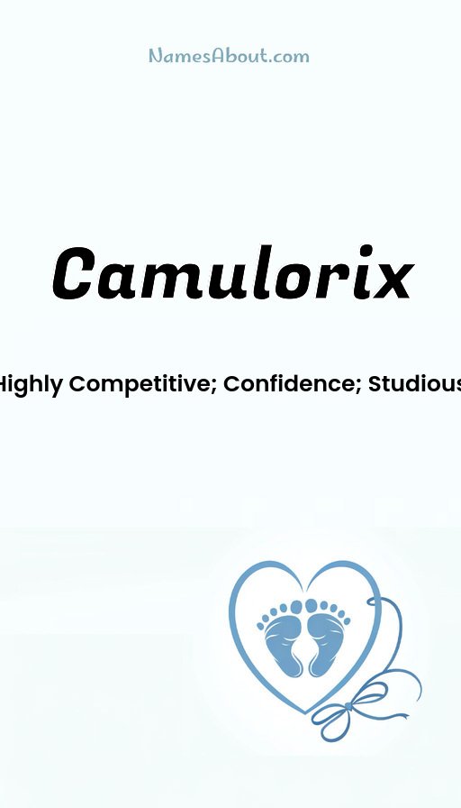 Meaning of Camulorix