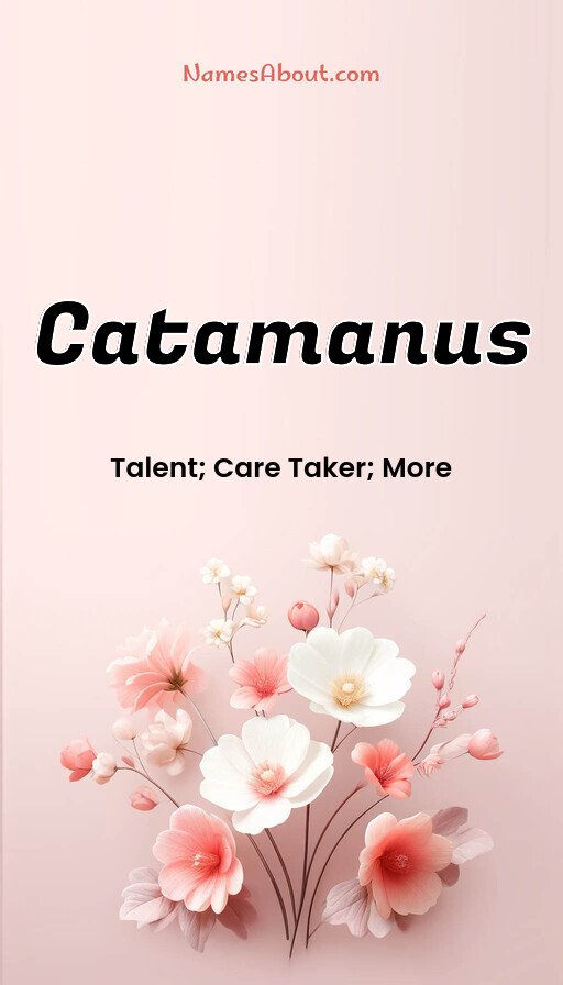 Meaning of Catamanus