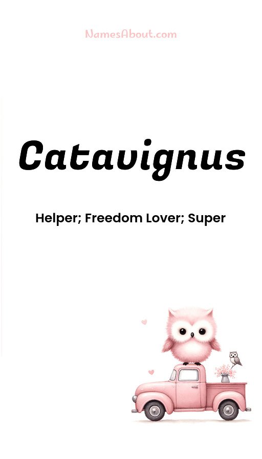 Meaning of Catavignus