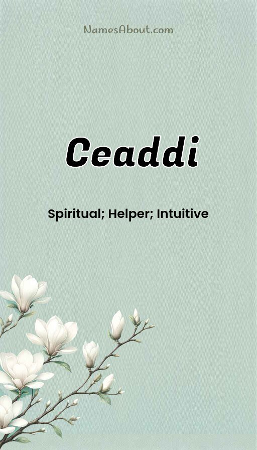 Meaning of Ceaddi