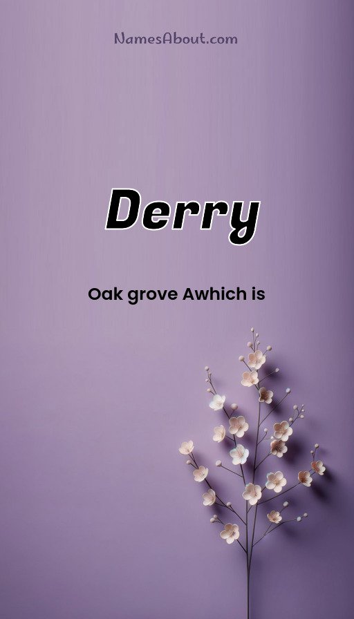 Meaning of Derry