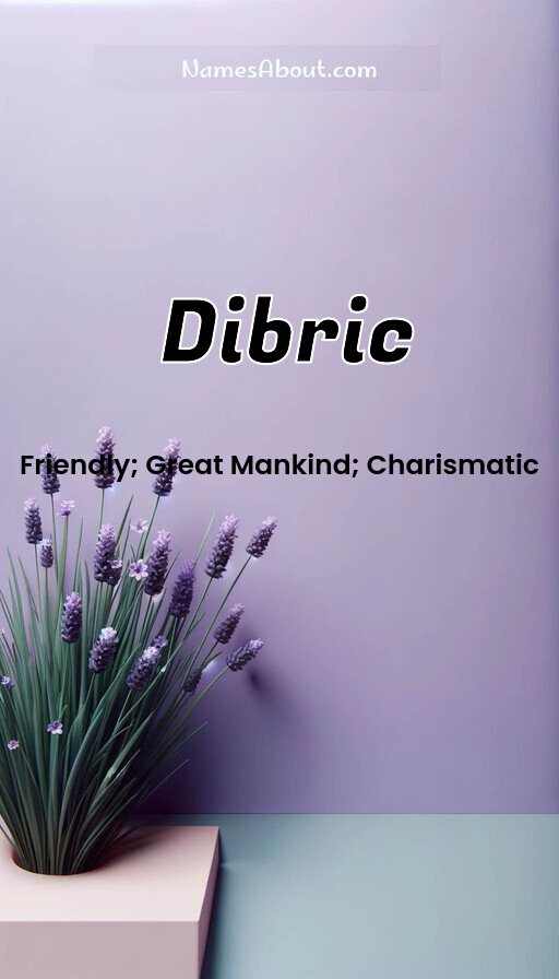 Meaning of Dibric
