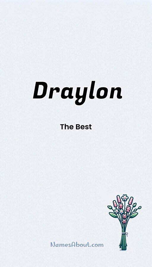 Meaning of Draylon