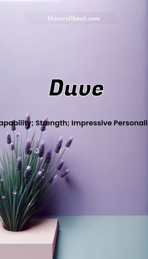 Meaning of Duve