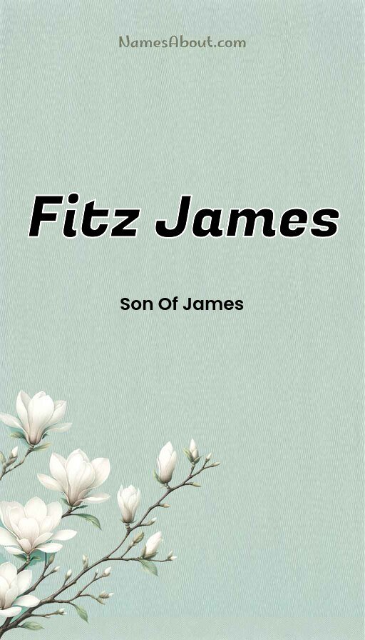 Meaning of Fitz james