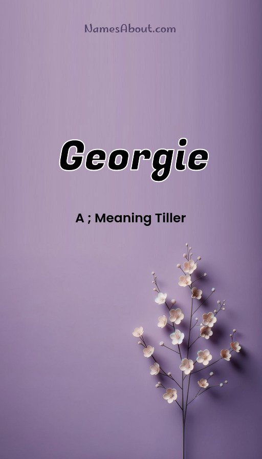 Meaning of Georgie