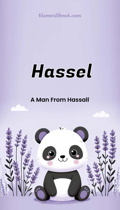 Meaning of Hassel