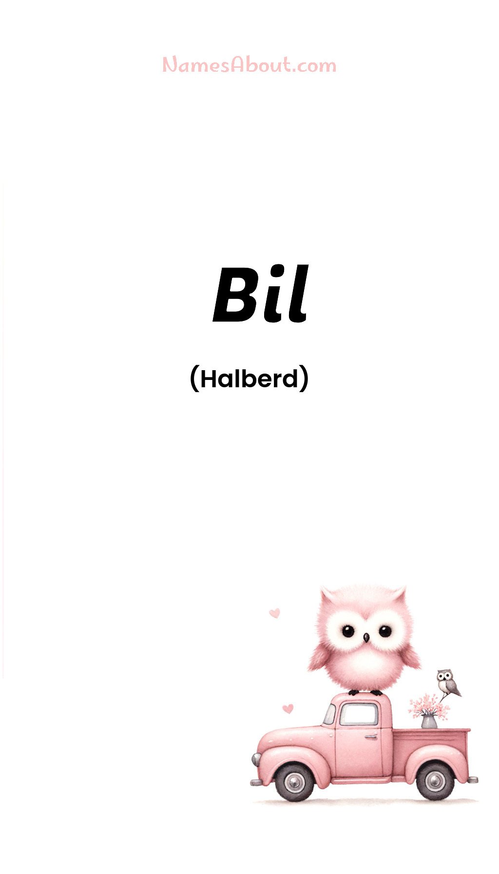 Bil name and meaning