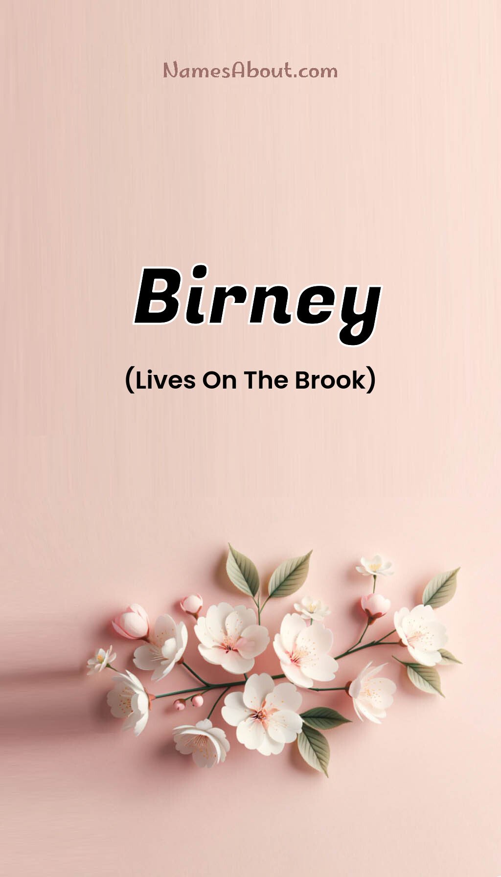 Birney name and meaning