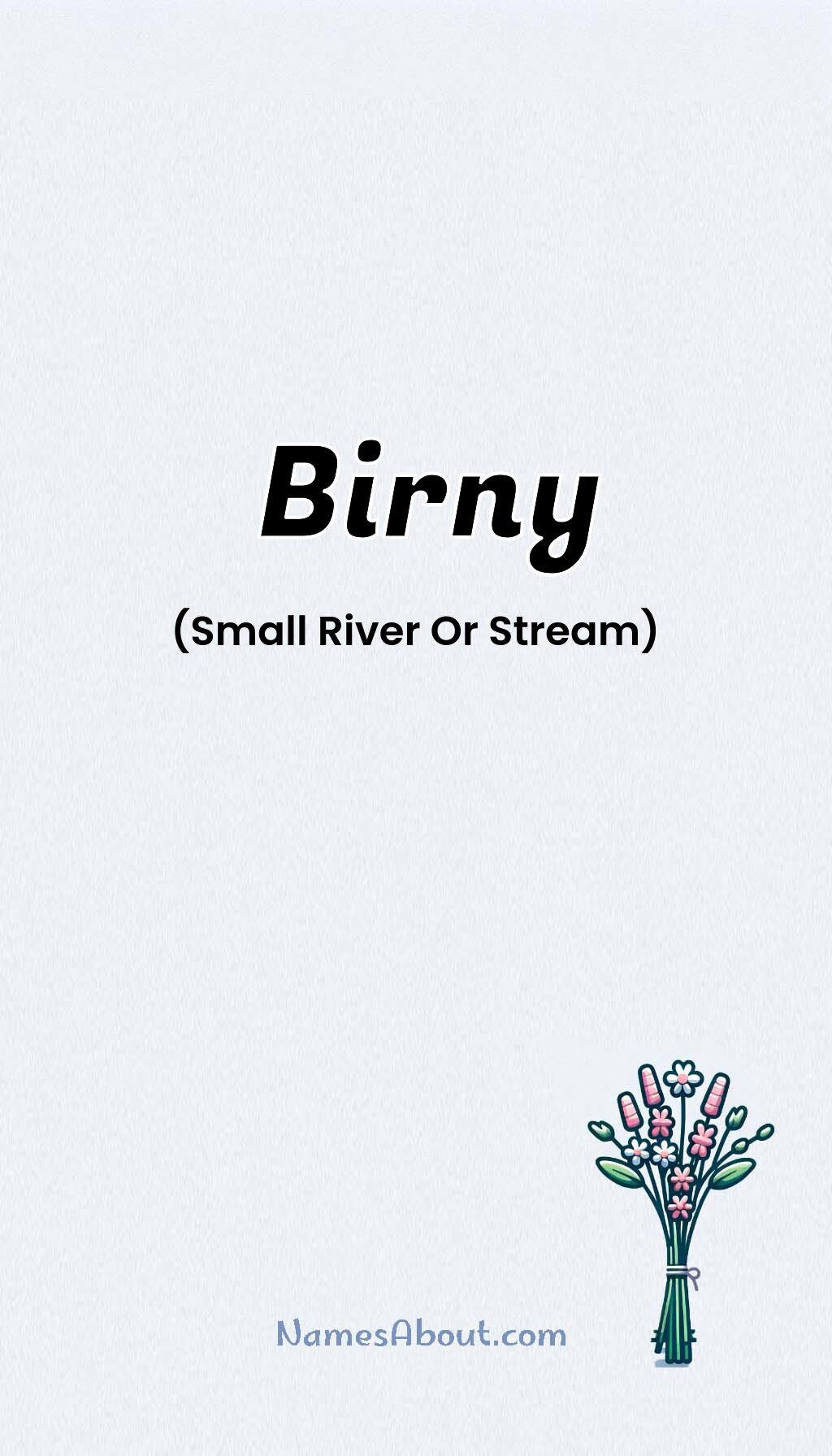 Birny name and meaning