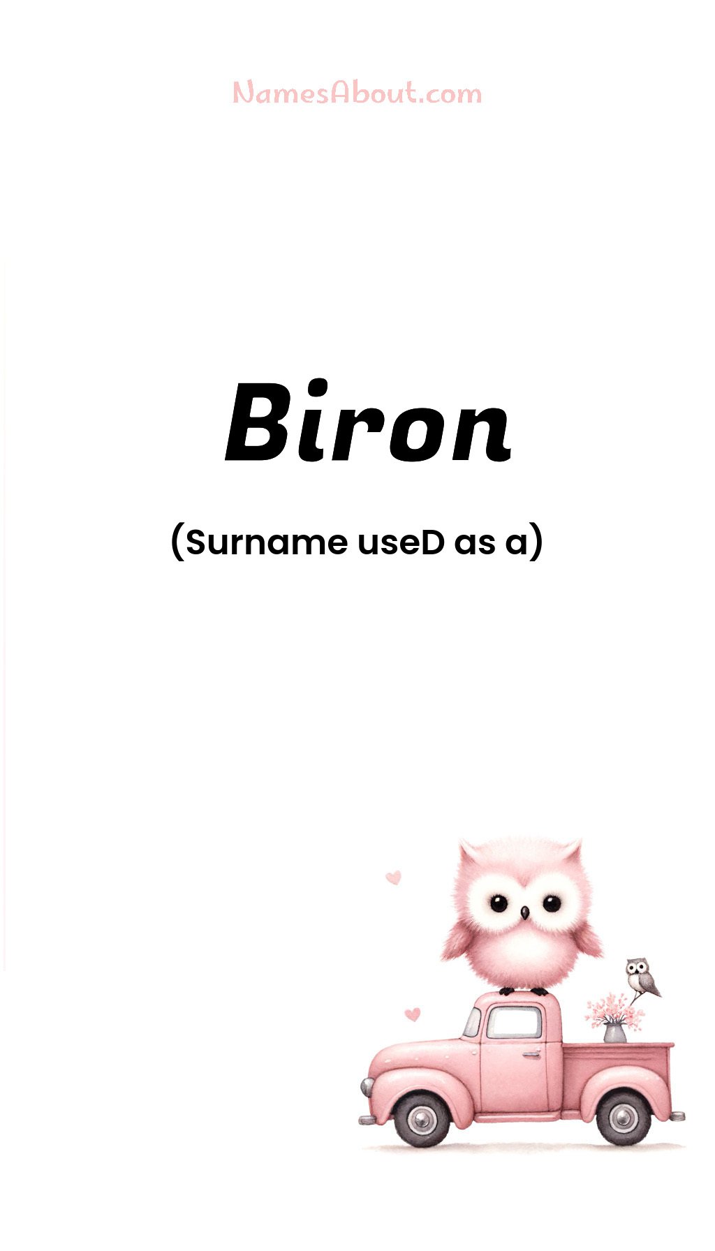 Biron name and meaning