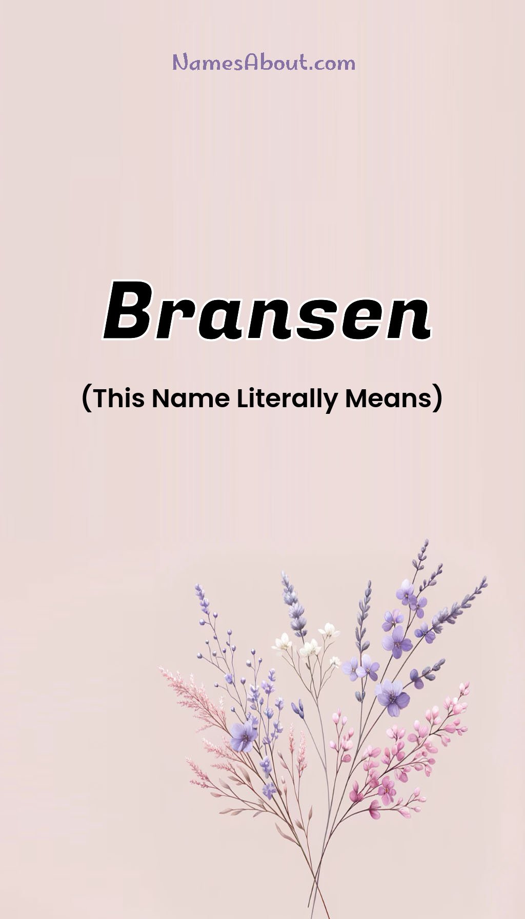 Bransen name and meaning