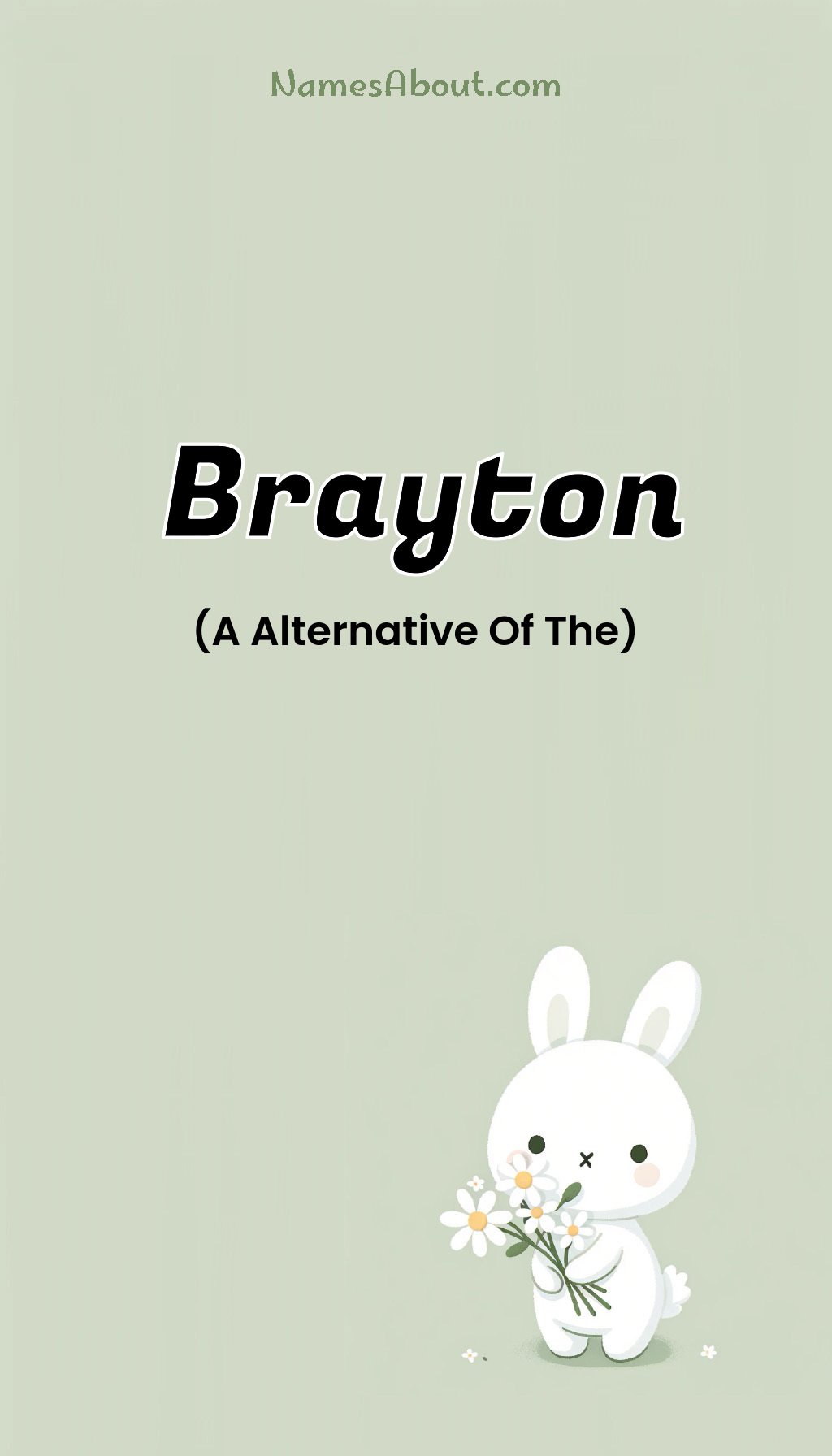 Brayton name and meaning