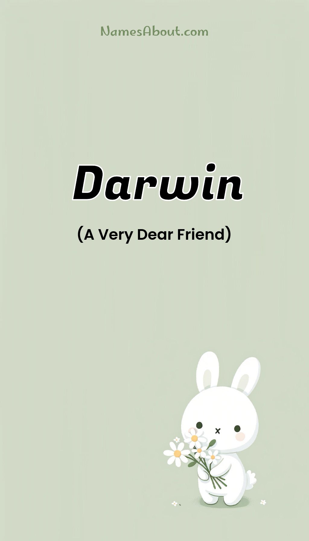 Darwin name and meaning