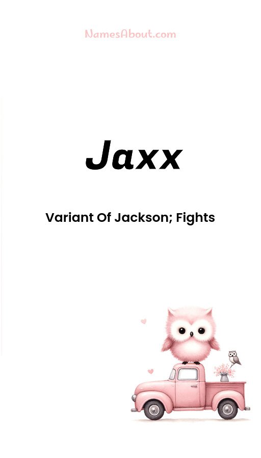 Meaning of Jaxx