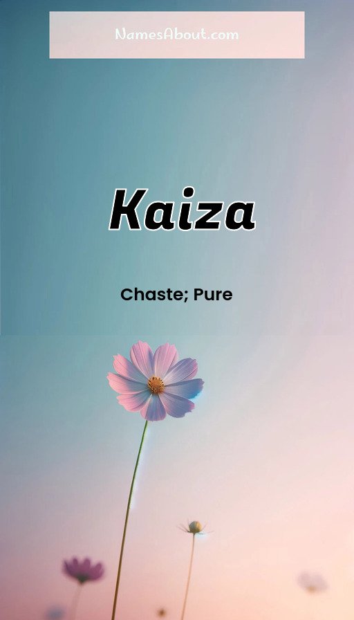 Meaning of Kaiza