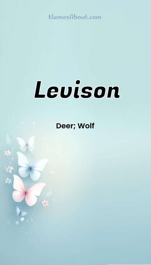 Meaning of Levison