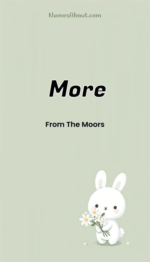 Meaning of More